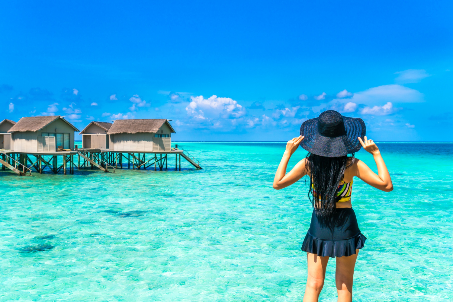 Kerala 8 Days